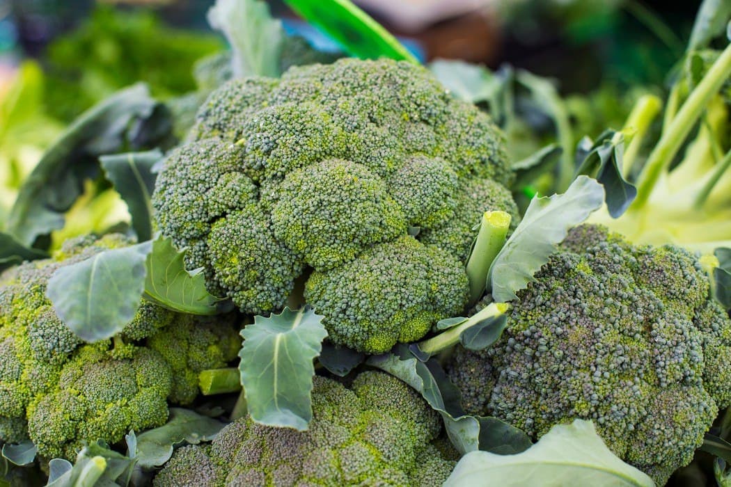 Organic vegetables growing in raised beds